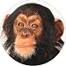 CHIMPANZEE MONKEY Fridge Magenet