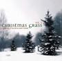 Christmas Grass 3
