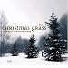 Christmas Grass 3