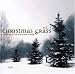 Christmas Grass, Vol. 3