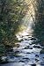 Smoky Mountains River in Fall - 36"H x 24"W - Peel and Stick Wall Decal by Wallmonkeys