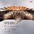 Wildlife Photographer of the Year: Portfolio 19