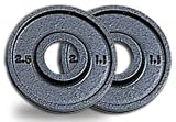 2.5 Lb. Grey Wide Flange Olympic Plates