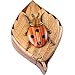Lady Bug - Secret Wooden Puzzle Box