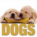 Dogs (Supercubes)