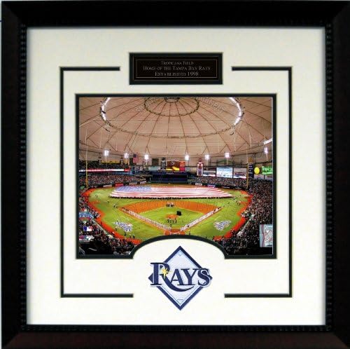 Tampa Bay Rays- Tropicana Field 8"x 10" Framed Photo