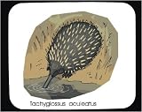 Mouse Pad with aclotus, drink, mammal, lachyglassus, spikes, bird, prickly