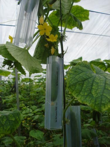 Set of 3 Medium Heart Shaped Molds for Growing Vegetables and Fruits, Veggie Mold