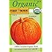 Ferry-Morse 3107 Organic Pumpkin Seeds, Big Max (3 Gram Packet)