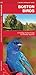 Boston Birds: A Folding Pocket Guide to Familiar Species (Pocket Naturalist Guide Series)