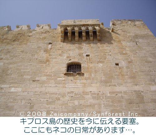 Cover image : 地中海・猫の旅 6500キロ [DVD]
