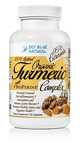Turmeric Curcumin Supplement with BioPerine, 500mg Turmeric Curcumin Supplement with BioPerine, 500mg