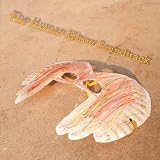 The Human Elbow Soundtrack