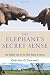 The Elephant's Secret Sense: The Hidden Life of the Wild Herds of Africa Image of The Elephant's Secret Sense: The Hidden Life of the Wild Herds of Africa