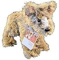 Because of Winn-dixie (Hardcover)