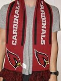 Arizona Cardinals 2011 Team Stripe Knit Scarf