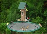 Seed Hoop 30 In
