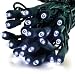 GKI/Bethlehem Lighting 25-Foot Indoor/Outdoor Holiday Light Set with 50 Wide-Angle Mini FlexChange LED Lights, White
