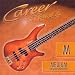 Career Strinx E-Bass 045-105 medium Saiten-Set