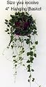 Rosary Vine 4"Hanging Basket-String of Hearts-Ceropegia