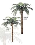 12 &acute; Artificial Coconut Palm NonPotted With 15 Fronds and 3 Coconuts. ( Some Assembly Required ) - B000NEAN1O