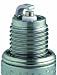 NGK D8HA Standard Spark Plug , Pack of 1
