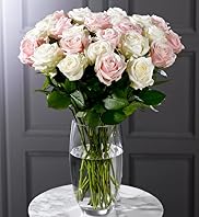 Autograph™ Double Dozen Roses