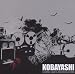 Kobayashi-Strange Lights and Resolutions