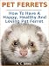 Pet Ferrets : How To Have A Happy, Healthy And Loving Pet Ferret