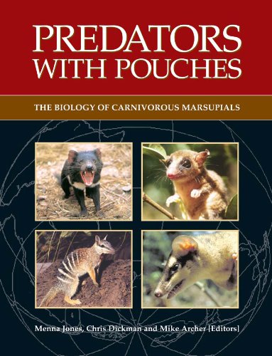 Predators with Pouches: The Biology of Carnivorous Marsupials