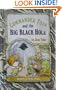 Commander Toad and the Big Black Hole (Break-Of-Day Book)