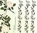 Three 6' Artificial English Rose Garlands Silk Flowers_white