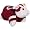 Washington Redskins