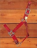 Hamilton Quality 1 Nylon Horse Halter