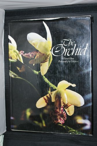 Orchid