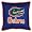 Florida Gators Sideline Pillow (22x22) NCAA