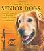 The Living Well Guide for Senior Dogs: Everything You Need to Know for a Happy & Healthy Companion