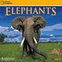 National Geographic Elephants 2009 Calendar