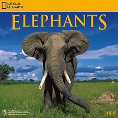 National Geographic Elephants