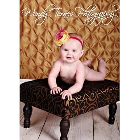 Photography Background Tufted Pinched Cloth Backdrop Gold Mod 5x9 (Inch) Feet