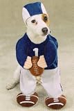 MEDIUM - FOOTBALL FEVER - Pet Halloween Costume