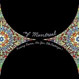 Hissing Fauna Are You the Destroyer [Vinyl LP]
