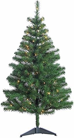 4.5' Western Balsam Fir With 100 Clear Lights - CFP