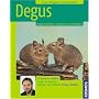 Degus: Halten & Pflegen, Verstehen & Besch�ftigen
