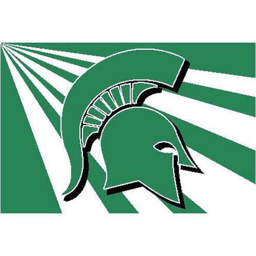 Michigan State Spartans NCAA Tufted Rug (20x30)