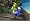 Shrek The Third (Wii)