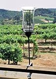 Champagne Bracket Torch Set/12