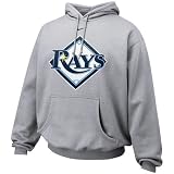 Nike Tampa Bay Rays Ash Pre-Game Hoody Sweatshirt