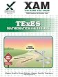 TExES Mathematics 4-8 114-115 (XAM TEXES)