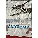 Amygdala